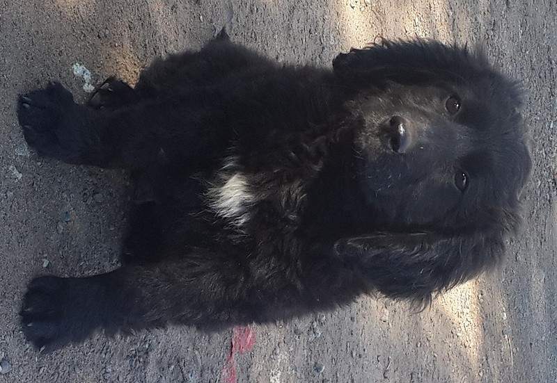 1126 X 776 405.6 Kb       .