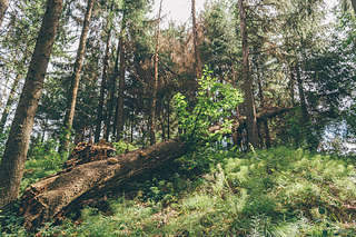 1920 X 1280 709.6 Kb 1920 X 1279 647.0 Kb 801 X 1200 299.9 Kb 800 X 1200 294.5 Kb 800 X 1200 216.3 Kb      