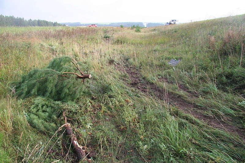 1920 X 1280 446.0 Kb 1920 X 1280 313.1 Kb 10.08.2015     - ,    .  .