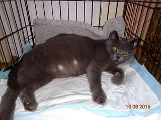 1920 X 1440 218.6 Kb 1920 X 1440 217.5 Kb 1920 X 1440 257.5 Kb 1920 X 1152 258.3 Kb    .