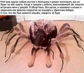 500 X 440  55.3 Kb Улыбнемся?