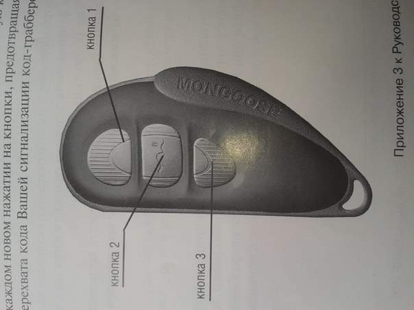 mongoose base