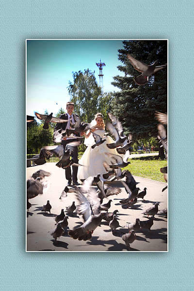 1920 X 2880   1.0 Mb 1920 X 1278 315.9 Kb 1920 X 2884 542.8 Kb 1920 X 1278 220.6 Kb    .