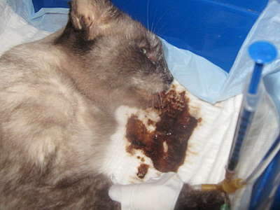 1920 X 1440 162.7 Kb ! SOS!    .     .