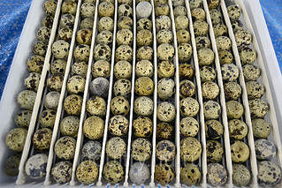 1000 X 667 301.1 Kb �������� �� ����