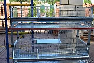 640 X 427 86.6 Kb 500 X 375 26.0 Kb 500 X 375 34.8 Kb �������� �� ����