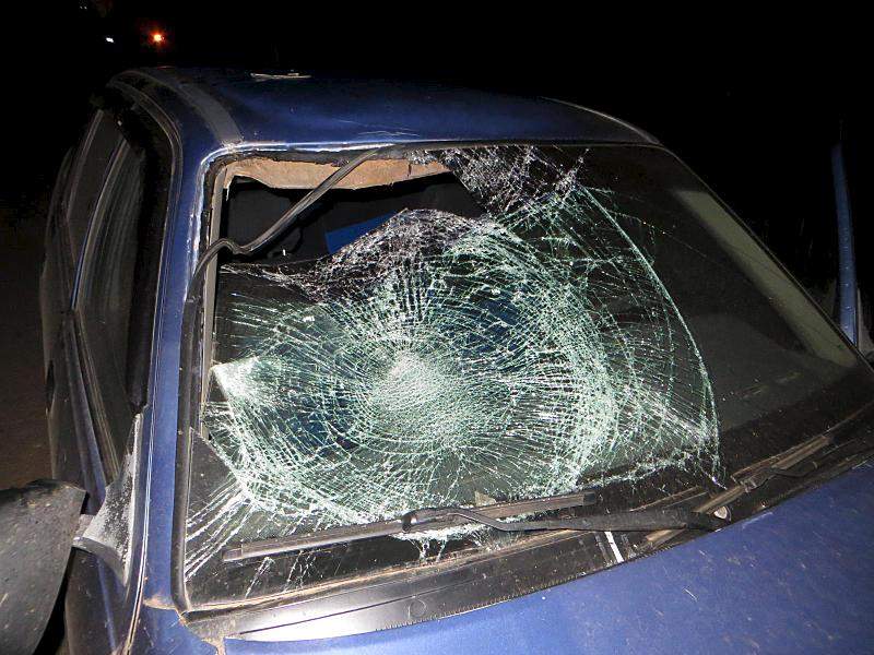 1600 X 1200 266.1 Kb 13.08.2015   - ,   