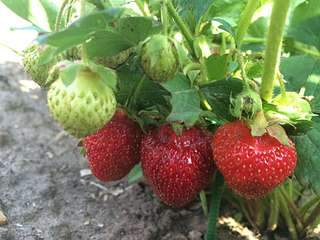 1920 X 1440 212.5 Kb      