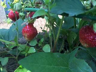 1920 X 1440 189.4 Kb 1920 X 1440 212.5 Kb      