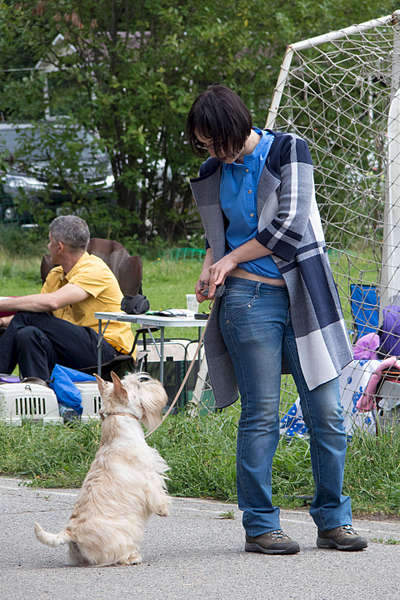 1920 X 2877 688.4 Kb 1920 X 2877 524.5 Kb 15-16  2015       