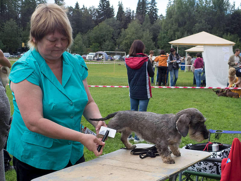 1920 X 1440 330.2 Kb 1920 X 1280 289.7 Kb 15-16  2015       