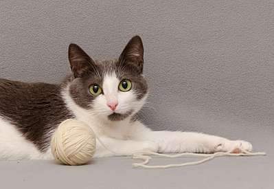 1920 X 1323 194.3 Kb 1920 X 1311 199.0 Kb   -  . ,  