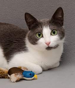 1693 X 2000 554.7 Kb 1920 X 1323 194.3 Kb 1920 X 1311 199.0 Kb   -  . ,  