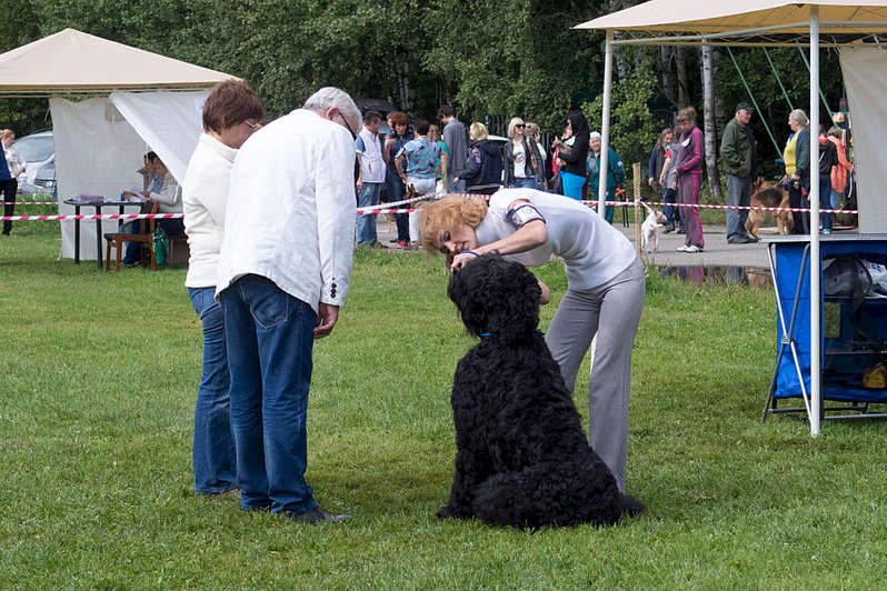 1920 X 1279 406.7 Kb 15-16  2015       