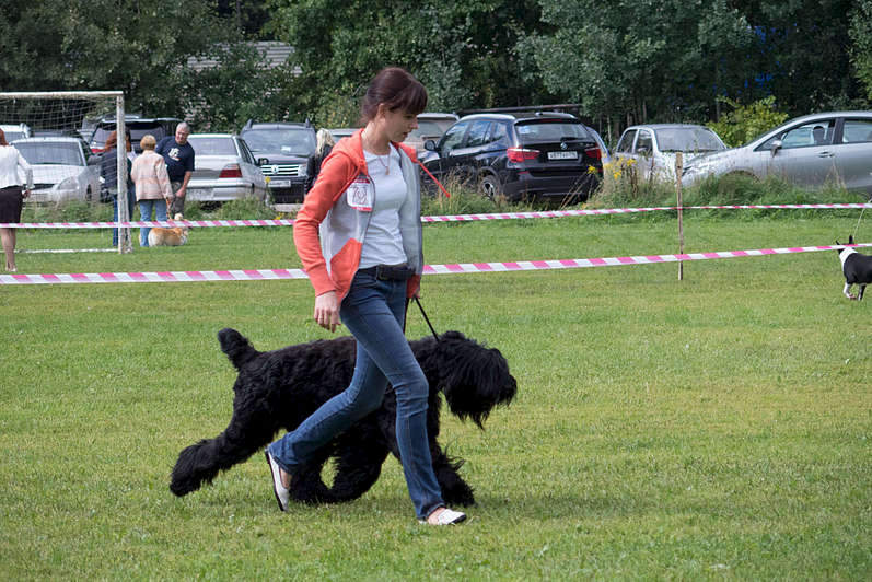 1920 X 1279 385.0 Kb 1920 X 1280 366.6 Kb 1920 X 1279 406.7 Kb 15-16  2015       