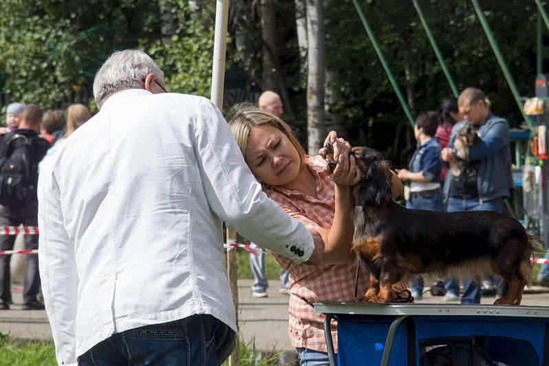 1920 X 1279 256.8 Kb 15-16  2015       