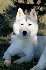 676 X 1024 130.6 Kb 1920 X 2868 651.7 Kb  - .