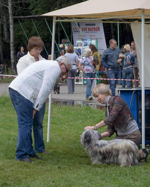 1920 X 2392 561.8 Kb 15-16  2015       