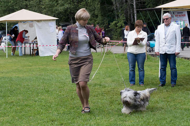 1920 X 1280 413.6 Kb 1920 X 2392 561.8 Kb 15-16  2015       