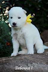 682 X 1024 88.5 Kb  - .