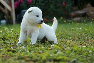 1280 X 853 156.4 Kb 682 X 1024 88.5 Kb  - .