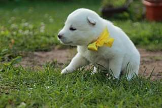 1280 X 853 158.2 Kb 1280 X 853 156.4 Kb 682 X 1024 88.5 Kb  - .