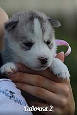 682 X 1024 89.6 Kb  - .