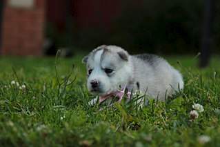 1280 X 853 124.5 Kb 1280 X 853 132.5 Kb 682 X 1024 89.6 Kb  - .