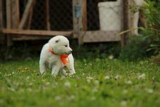 1280 X 853 119.1 Kb 1280 X 853 116.3 Kb 682 X 1024 67.5 Kb  - .