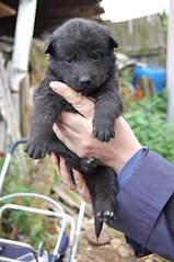 2000 X 3008 399.4 Kb  5      !