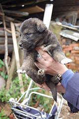 2000 X 3008 408.3 Kb 2000 X 3008 399.4 Kb  5      !