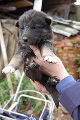 2000 X 3008 407.5 Kb 2000 X 3008 408.3 Kb 2000 X 3008 399.4 Kb  5      !