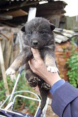 2000 X 3008 394.0 Kb 2000 X 3008 364.3 Kb  5      !