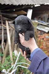 2000 X 3008 385.6 Kb 2000 X 3008 394.0 Kb 2000 X 3008 364.3 Kb  5      !