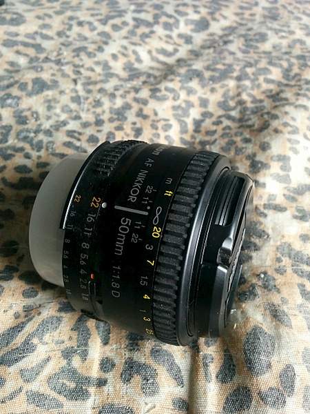 1944 X 2592 362.2 Kb 1944 X 2592 422.7 Kb  Nikon d90 .Nikkor 50mm F1.8. Nikkor 55-200mm F4-5.6 