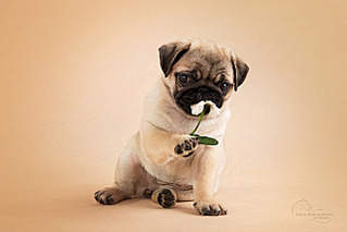 640 X 427 175.4 Kb 15-16  2015       