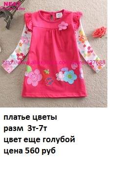 250 x 397 238 x 341 258 x 352 242 x 368 226 x 357        ''