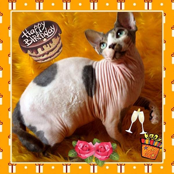 1920 X 1920 619.2 Kb  !   7 000 .