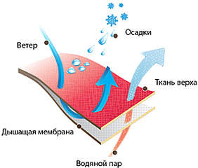 300 X 255 58.3 Kb Верхняя одежда КЛИМАТ КОНТРОЛЬ.