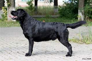 604 X 402  65.9 Kb 604 X 402  54.4 Kb   