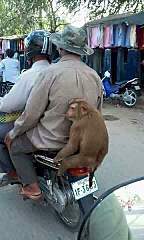 576 X 960 48.1 Kb Угадайте где сделано фото и откуда турист