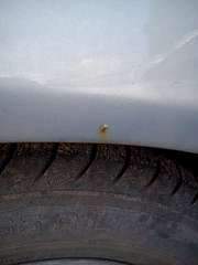 1080 X 1440 1013.9 Kb 1080 X 1440 103.9 Kb  ,   