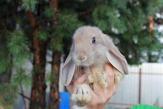 1920 X 1280 143.2 Kb ��������� �������� ����