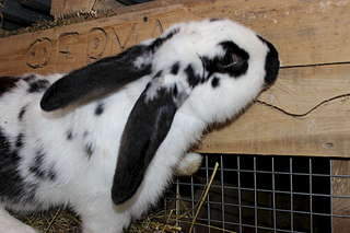 1920 X 1280 184.0 Kb ��������� �������� ����