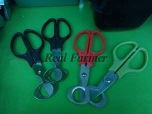 304 x 228 �������� �� ����