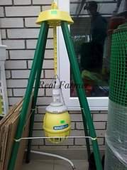 500 X 667  59.1 Kb 304 x 228 �������� �� ����