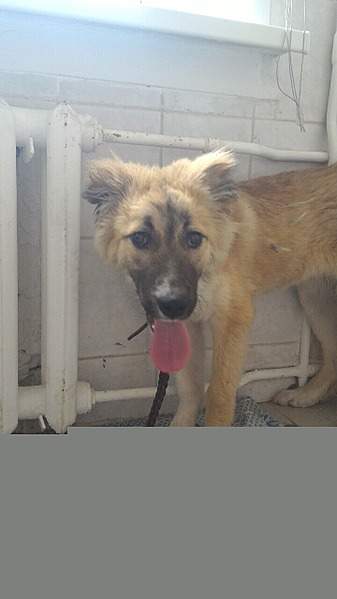 720 X 1280 137.5 Kb  !      !