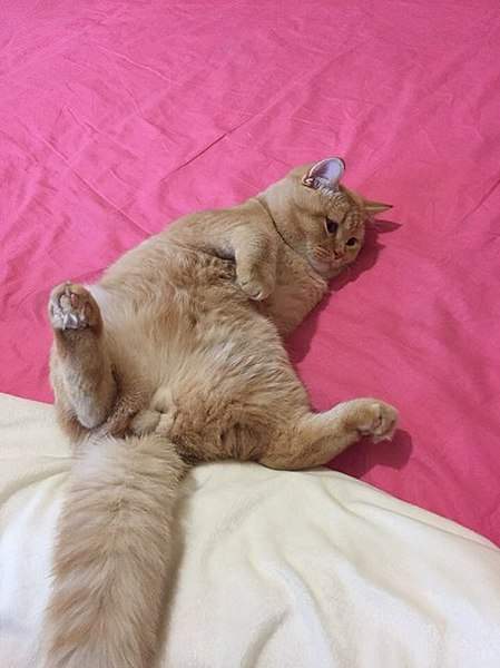 452 X 604 44.2 Kb 604 X 604 63.4 Kb 604 x 452  