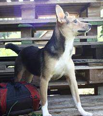 768 X 859 88.5 Kb  :  -,     