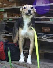 1920 X 2455 201.9 Kb 768 X 859 88.5 Kb  :  -,     